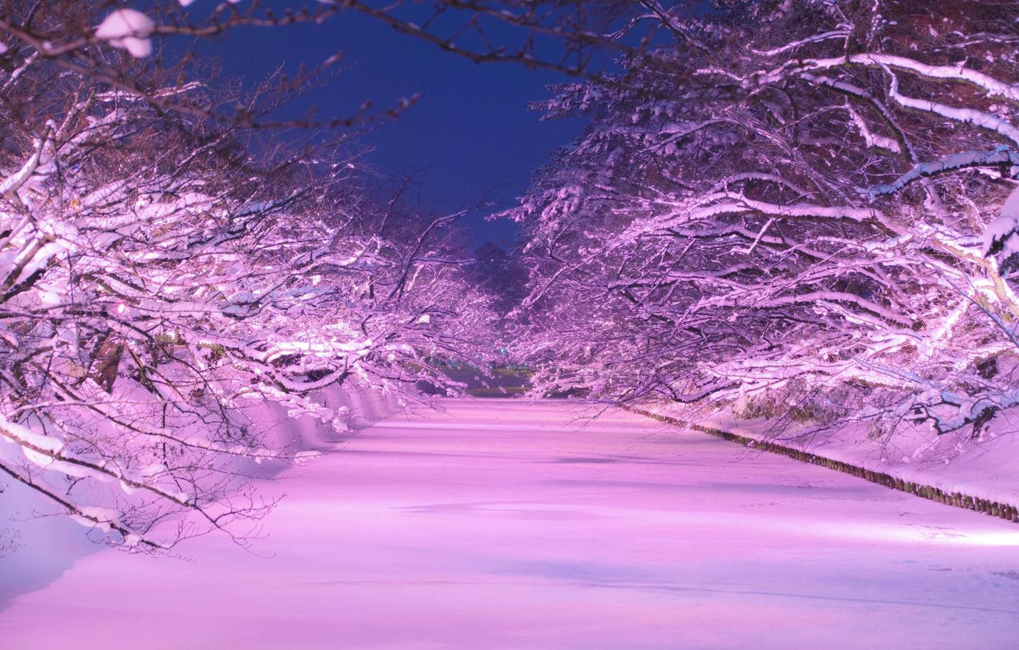 Hirosaki Park Hotel Aomori Buitenkant foto